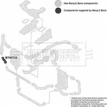 Borg & Beck BTH1719 - Трубка нагнітається повітря avtolavka.club