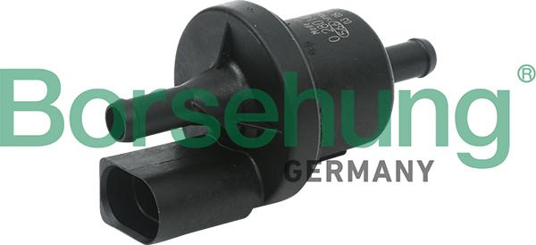 Borsehung B13667 - Клапан, фільтр активованого вугілля avtolavka.club
