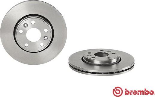 Brembo 09.8137.30 - Гальмівний диск avtolavka.club