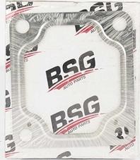BSG BSG 30-116-025 - Прокладка, труба вихлопного газу avtolavka.club
