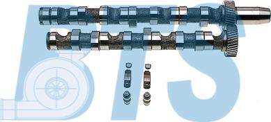 BTS Turbo CP60238 - Комплект распредвала avtolavka.club