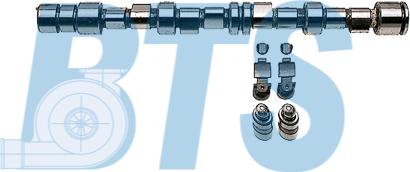 BTS Turbo CP62224 - Комплект распредвала avtolavka.club