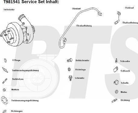 BTS Turbo T981541 - Компресор, наддув avtolavka.club