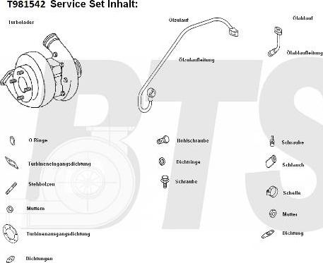 BTS Turbo T981542 - Компресор, наддув avtolavka.club