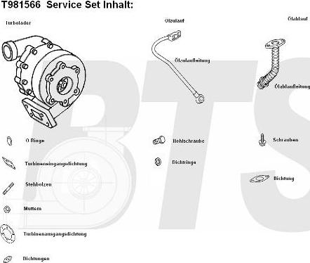 BTS Turbo T981556 - Компресор, наддув avtolavka.club