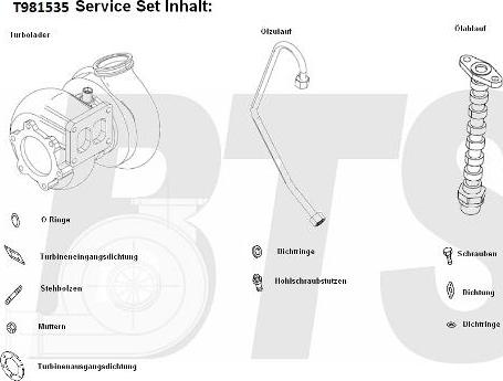 BTS Turbo T981535BL - Компресор, наддув avtolavka.club