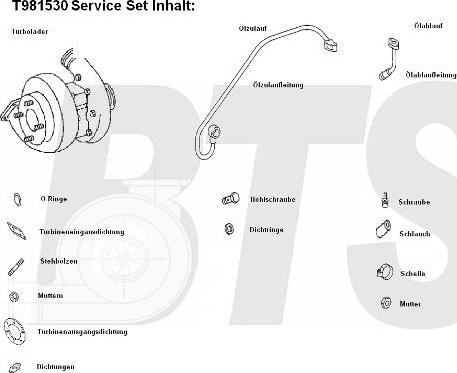 BTS Turbo T981530 - Компресор, наддув avtolavka.club