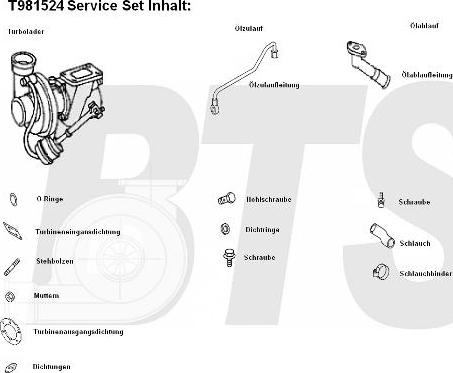 BTS Turbo T981524 - Компресор, наддув avtolavka.club