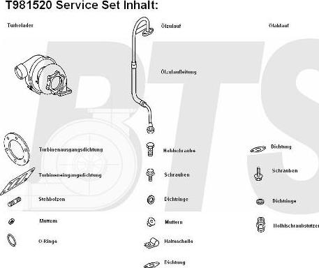 BTS Turbo T981520BL - Компресор, наддув avtolavka.club