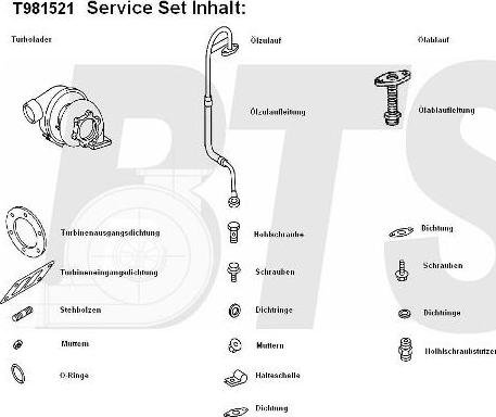 BTS Turbo T981521 - Компресор, наддув avtolavka.club