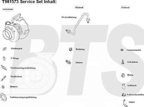 BTS Turbo T981573 - Компресор, наддув avtolavka.club