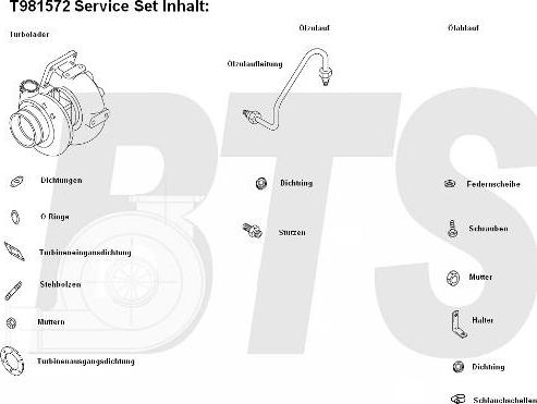 BTS Turbo T981572 - Компресор, наддув avtolavka.club