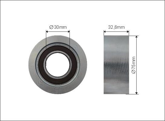 Caffaro 500580 - Паразитний / провідний ролик, поліклиновий ремінь avtolavka.club