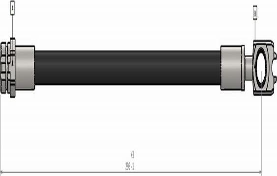 CAVO C900 618A - Гальмівний шланг avtolavka.club