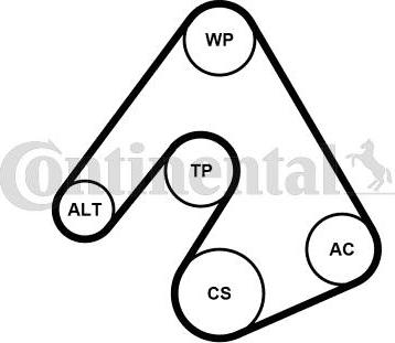 Contitech 5PK1207WP1 - Водяний насос + комплект струмкових ременів avtolavka.club