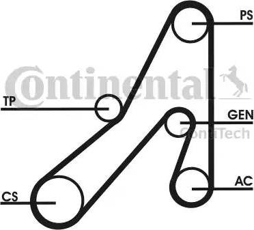 Continental 6DPK1841D1 - Поліклиновий ремінь avtolavka.club