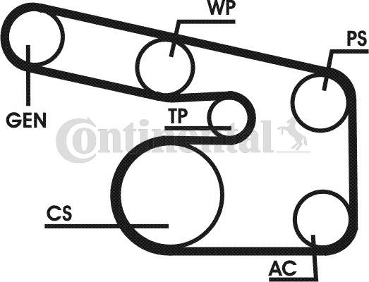 Contitech 6PK1900D1 - Поликлиновий ремінний комплект avtolavka.club