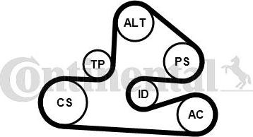 Contitech 6PK1590K1 - Поликлиновий ремінний комплект avtolavka.club