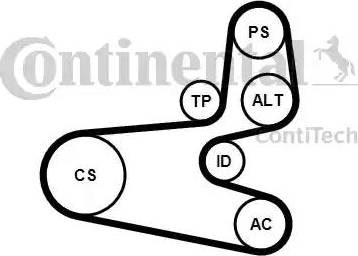 Continental 6PK1560K1 - Поликлиновий ремінний комплект avtolavka.club