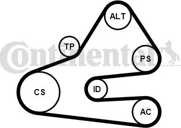 Contitech 6 PK 1613 K1 - Поликлиновий ремінний комплект avtolavka.club
