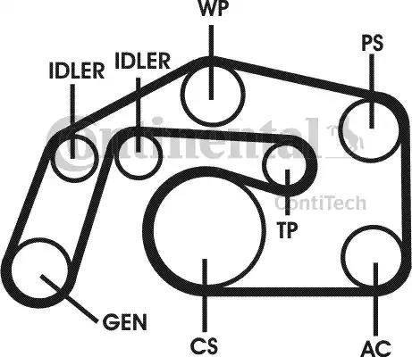 Continental 6PK2495D1 - Поликлиновий ремінний комплект avtolavka.club
