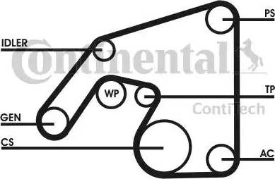 Continental 6PK2390D1 - Поликлиновий ремінний комплект avtolavka.club