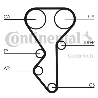 Continental CT955 - Ремінь ГРМ avtolavka.club