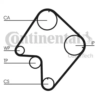 Continental CT832 - Ремінь ГРМ avtolavka.club