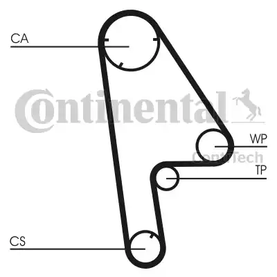 Continental CT763 - Ремінь ГРМ avtolavka.club