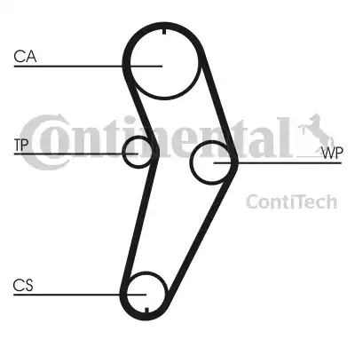 Continental CT709WP2 - Водяний насос + комплект зубчатого ременя avtolavka.club