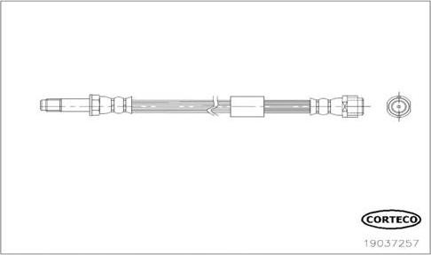 Corteco 19037257 - Гальмівний шланг avtolavka.club