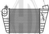 Diederichs DCA1062 - Интеркулер avtolavka.club