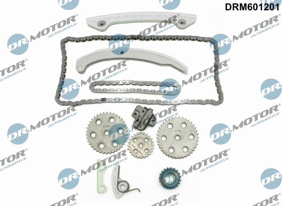 Dr.Motor Automotive DRM601201 - Комплект ланцюга приводу распредвала avtolavka.club