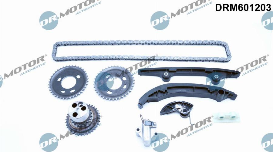 Dr.Motor Automotive DRM601203 - Комплект ланцюга приводу распредвала avtolavka.club