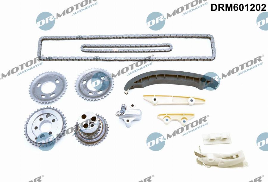 Dr.Motor Automotive DRM601202 - Комплект ланцюга приводу распредвала avtolavka.club