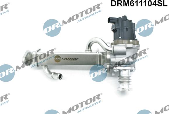 Dr.Motor Automotive DRM611104SL - Клапан повернення ОГ avtolavka.club