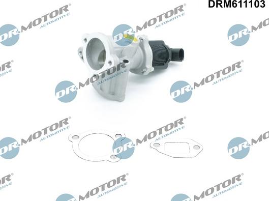 Dr.Motor Automotive DRM611103 - Клапан повернення ОГ avtolavka.club