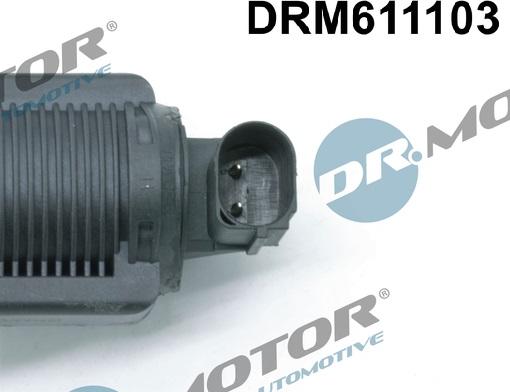 Dr.Motor Automotive DRM611103 - Клапан повернення ОГ avtolavka.club