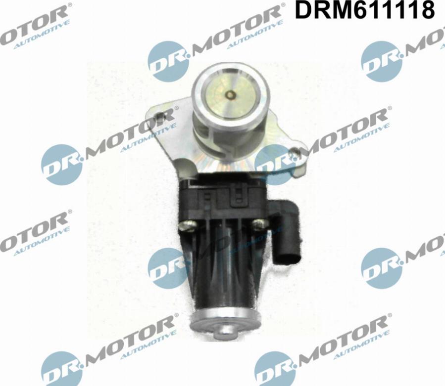 Dr.Motor Automotive DRM611118 - Клапан повернення ОГ avtolavka.club