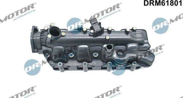 Dr.Motor Automotive DRM61801 - Модуль впускний труби avtolavka.club