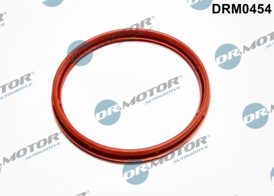 Dr.Motor Automotive DRM0454 - Прокладка, корпус впускного колектора avtolavka.club