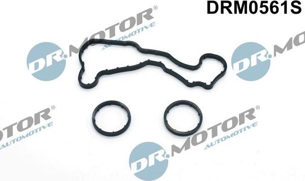 Dr.Motor Automotive DRM0561S - Комплект прокладок, масляний радіатор avtolavka.club