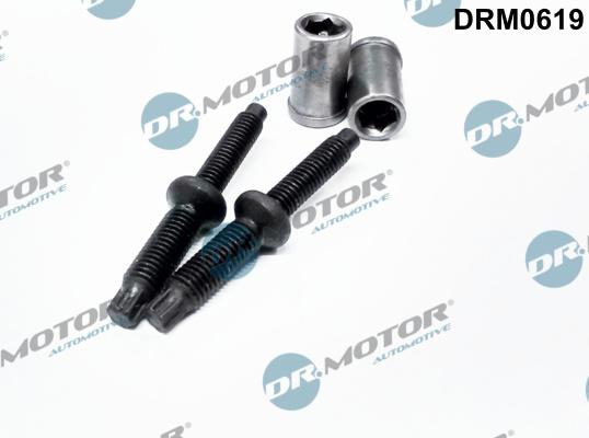 Dr.Motor Automotive DRM0619 - Болт, кріплення форсунки avtolavka.club