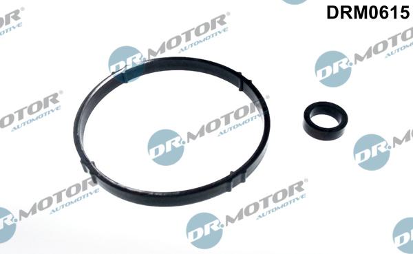 Dr.Motor Automotive DRM0615 - Комплект прокладок, масляний радіатор avtolavka.club