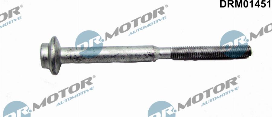 Dr.Motor Automotive DRM01451 - Болт, кріплення форсунки avtolavka.club