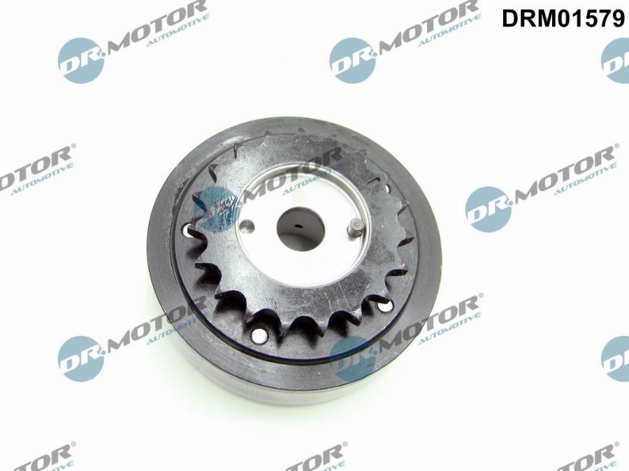 Dr.Motor Automotive DRM01579 - Шестерня приводу розподільного вала avtolavka.club