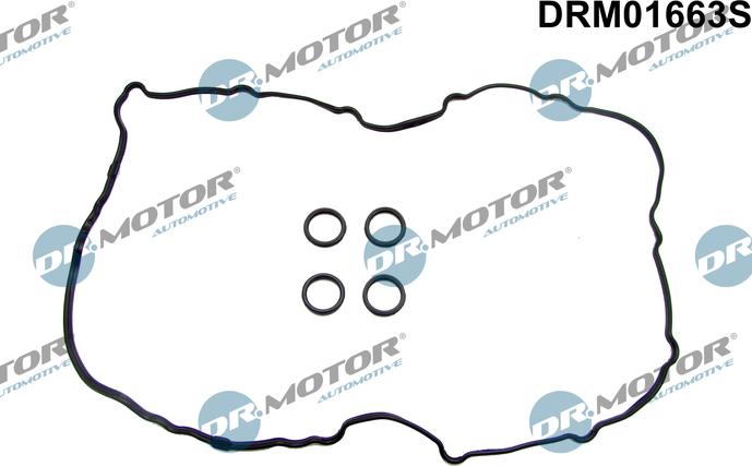 Dr.Motor Automotive DRM01663S - Комплект прокладок, кришка головки циліндра avtolavka.club