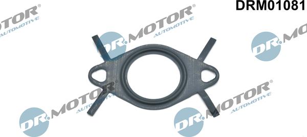 Dr.Motor Automotive DRM01081 - Прокладка, трубка клапана повернення ОГ avtolavka.club