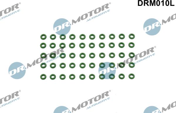 Dr.Motor Automotive DRM010L - Прокладка, корпус форсунки avtolavka.club