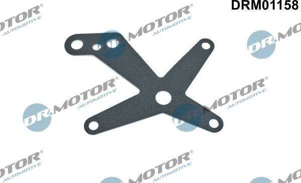 Dr.Motor Automotive DRM01158 - Комплект прокладок, гідравлічний насос avtolavka.club